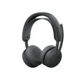 Zone Wireless 2 ES for Business