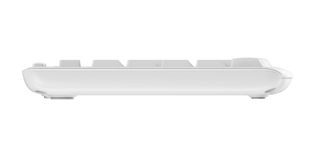 MK295 Silent Wireless Combo