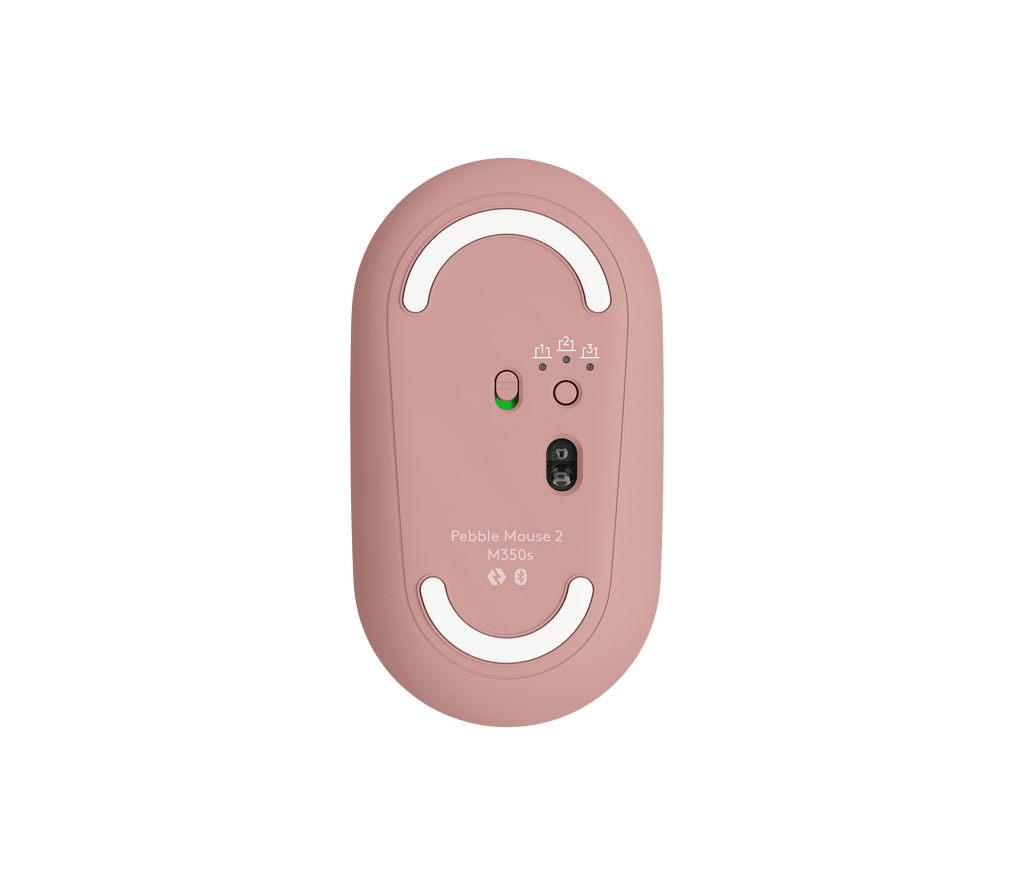 Pebble 2 Combo